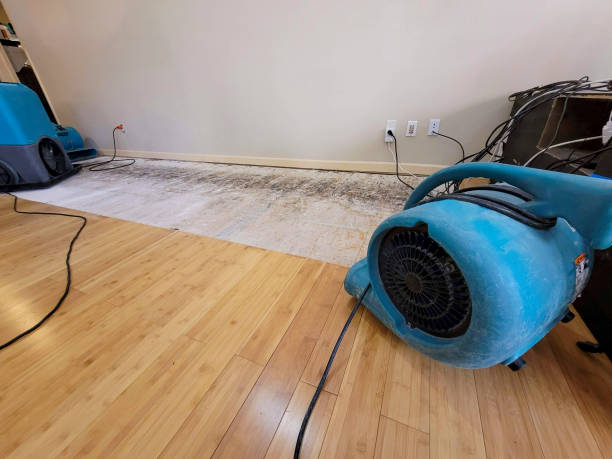 Professional Burst Pipe Water Damage technician working in Rome, IL